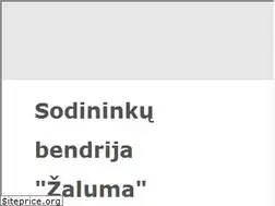 Sites similar to sb-zaluma.lt