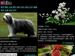 Sites similar to sbike.cn