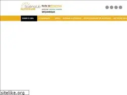 Sites similar to sbn.org.mz