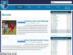 Sites similar to sc-badsalzuflen.de
