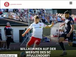 Sites similar to sc-pfullendorf.de