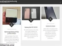 Sites similar to scalingwhatworks.org