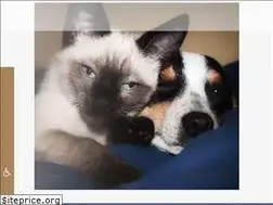 Sites similar to scarny.org
