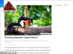 Sites similar to scarysquirrel.org