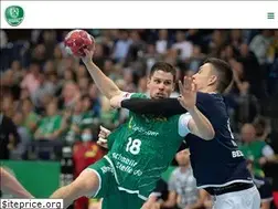 Sites similar to scdhfk-handball.de