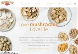Sites similar to sceltamushrooms.com