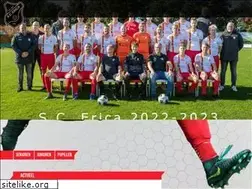 Sites similar to scerica.nl