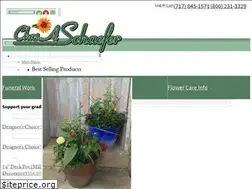 Sites similar to schaeferflowers.com