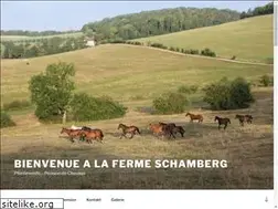 Sites similar to schamberg.fr