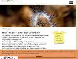 schimmel-experten.de