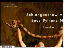 Sites similar to schlangenshow.com