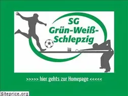 Sites similar to schlepzig-sport.de