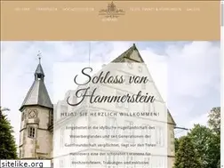 Sites similar to schlossvonhammerstein.de