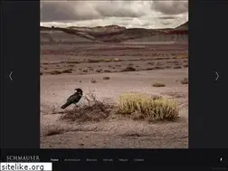 Sites similar to schmauserphoto.com