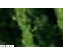 Sites similar to schneebergerag.ch