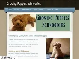 Sites similar to schnoodlepuppy.weebly.com