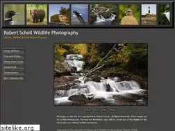 Sites similar to schollphoto.com