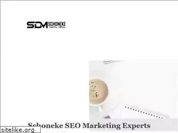 Sites similar to schonekeseomarketing.com