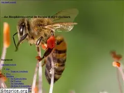 Sites similar to schorfheide-portal.de