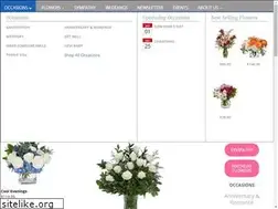 Sites similar to schroederflowers.com
