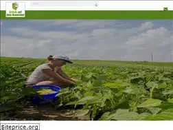 Sites similar to schub.ch