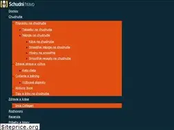 Sites similar to schudnihravo.sk