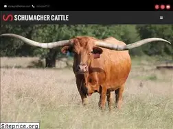 Sites similar to schumachercattle.com