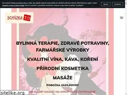Sites similar to schuzka7-13.cz