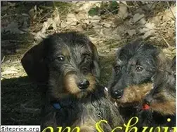Sites similar to schwindauer-land.de