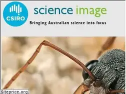 Sites similar to scienceimage.csiro.au