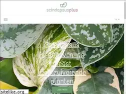 Sites similar to scindapsusplus.com