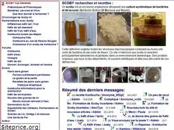Sites similar to scoby.ch