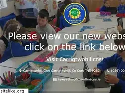 Sites similar to scoilchliodhnacns.ie