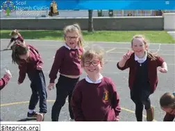 Sites similar to scoilnaomhcualan.ie