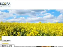Sites similar to scopa.org.uk