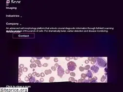 Sites similar to scopiolabs.com
