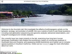 Sites similar to scordatolab.com