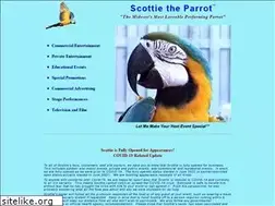 Sites similar to scottietheparrot.com