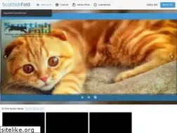 Sites similar to scottishfold.com.tr