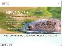 Sites similar to scottishwildbeavers.org.uk
