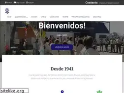 Sites similar to scoutsnavalesolivos.com