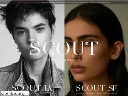 Sites similar to scouttm.com