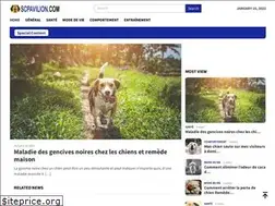 Sites similar to scpavilion.com