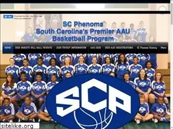 Sites similar to scphenoms.com