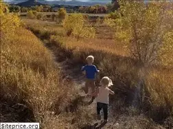 Sites similar to scrapingraisins.com