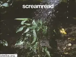 Sites similar to screamread.tv