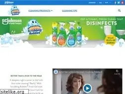 Sites similar to scrubbingbubbles.com