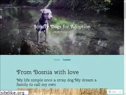 Sites similar to scruffydog.blog