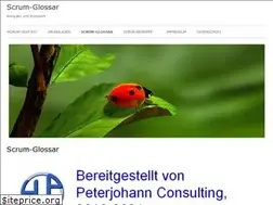 Sites similar to scrum-glossar.de