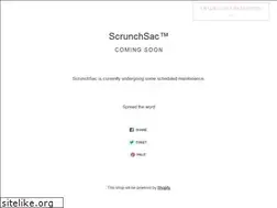 Sites similar to scrunchsac.com